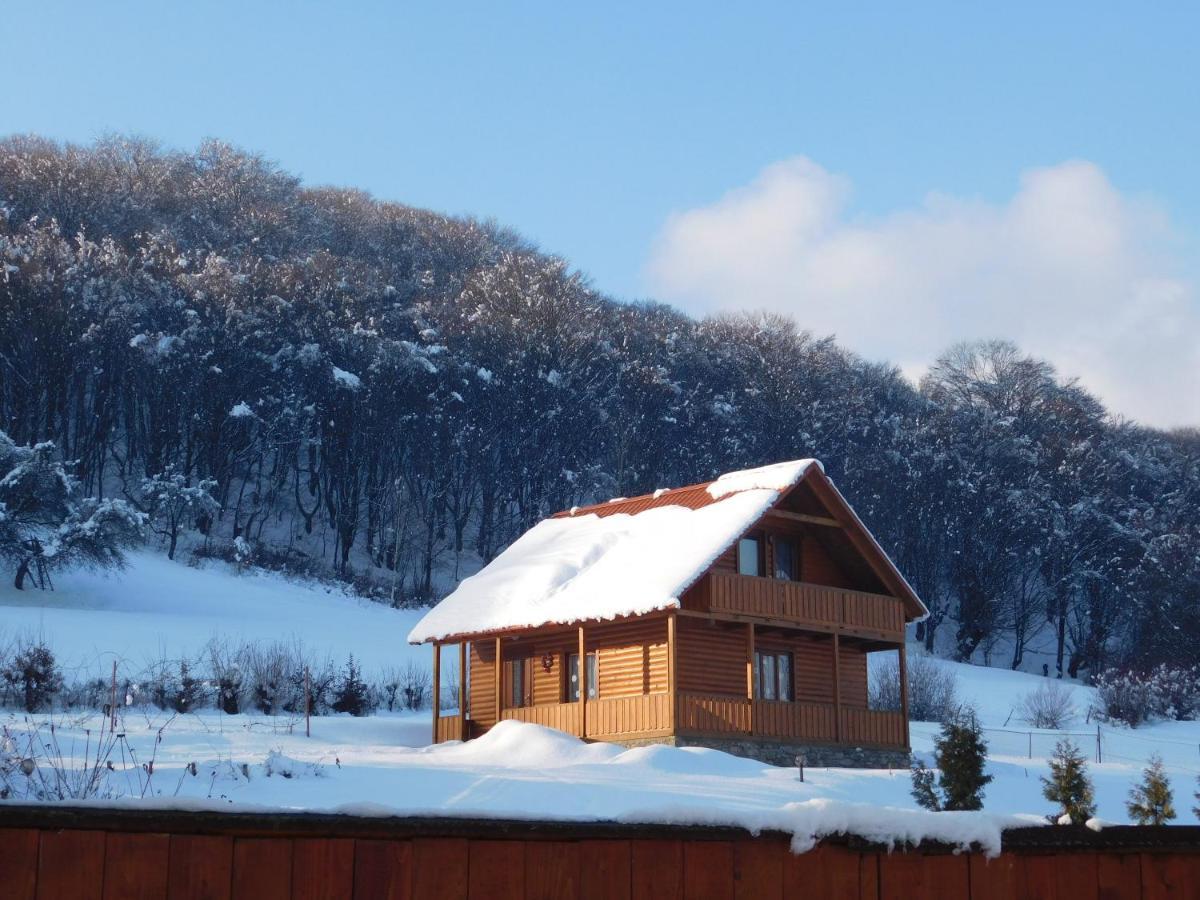 Sadiba Liskovec Villa Dubrinich na Beregu Esterno foto