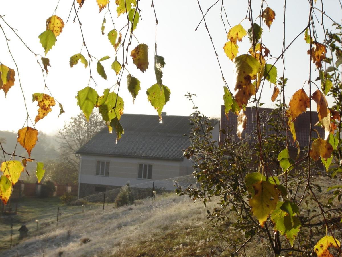 Sadiba Liskovec Villa Dubrinich na Beregu Esterno foto