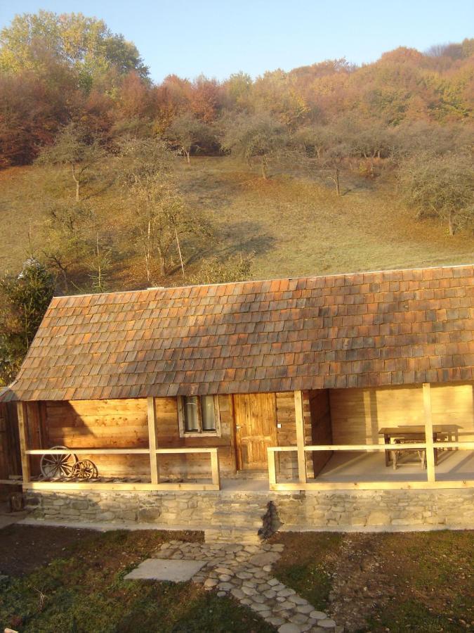 Sadiba Liskovec Villa Dubrinich na Beregu Esterno foto