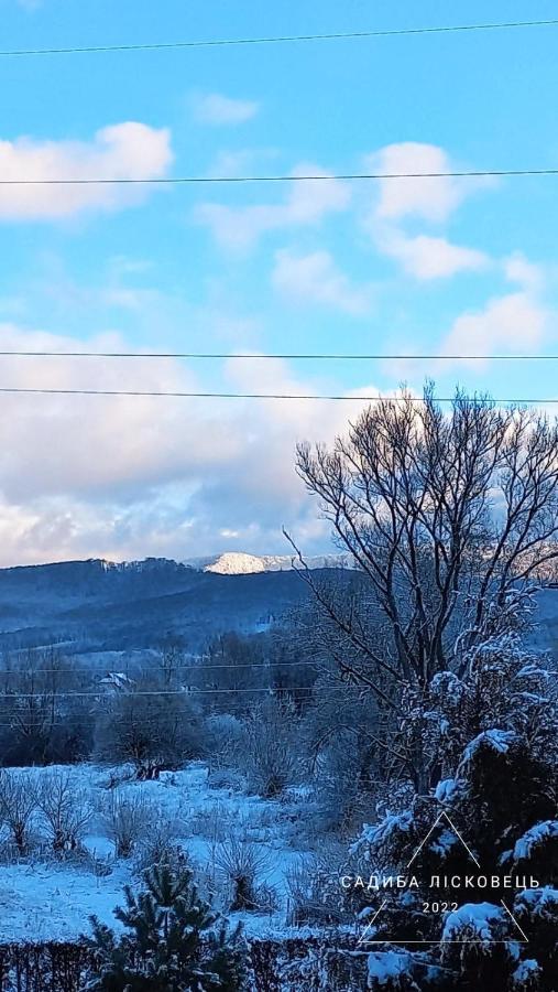 Sadiba Liskovec Villa Dubrinich na Beregu Esterno foto