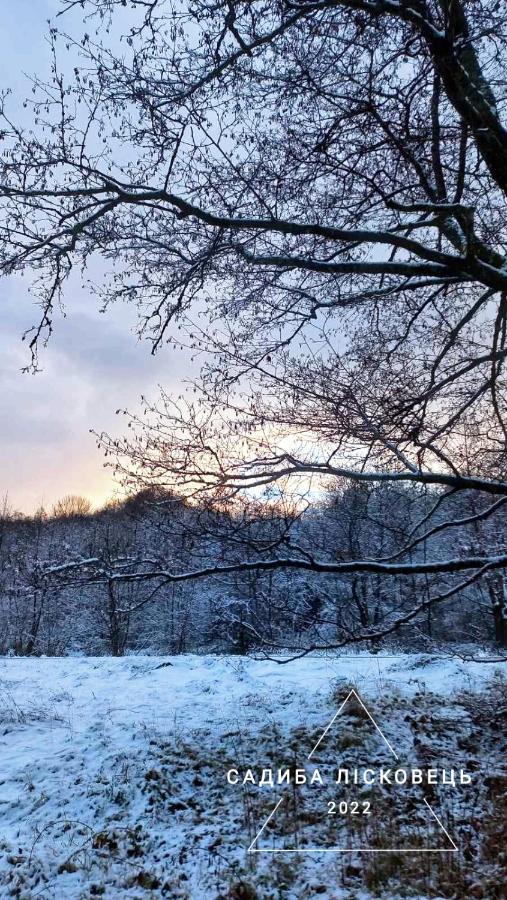 Sadiba Liskovec Villa Dubrinich na Beregu Esterno foto