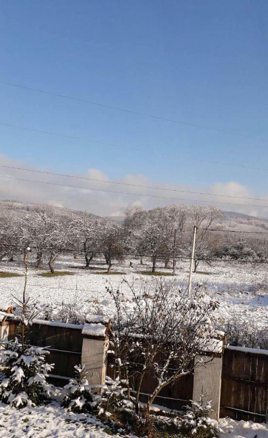 Sadiba Liskovec Villa Dubrinich na Beregu Esterno foto